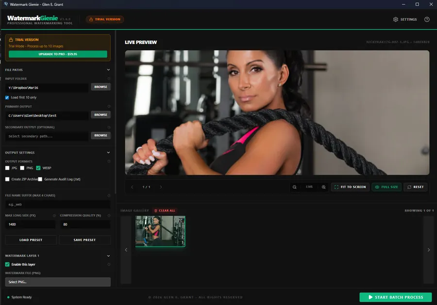 Trial version interface of Watermark Gienie showing upgrade prompt and full feature access with batch limit notice
