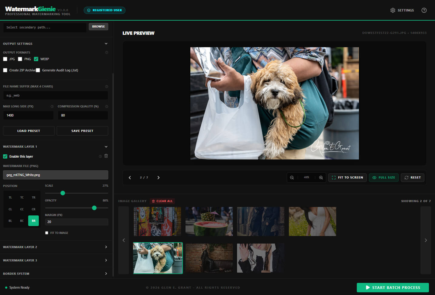 Watermark Gienie registered interface showing batch workflow with gallery thumbnail strip and live canvas