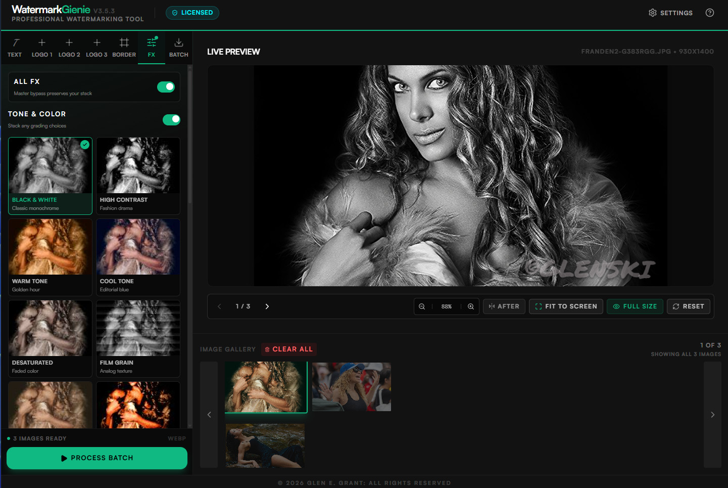 Watermark Gienie FX panel with multiple tone choices and black-and-white output in the live preview